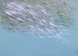 Fish n*189