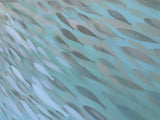 Fish n*189